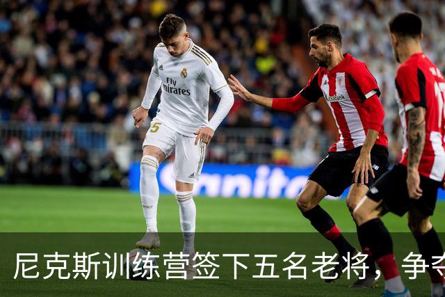 尼克斯训练营签下五名老将，争夺有限名额